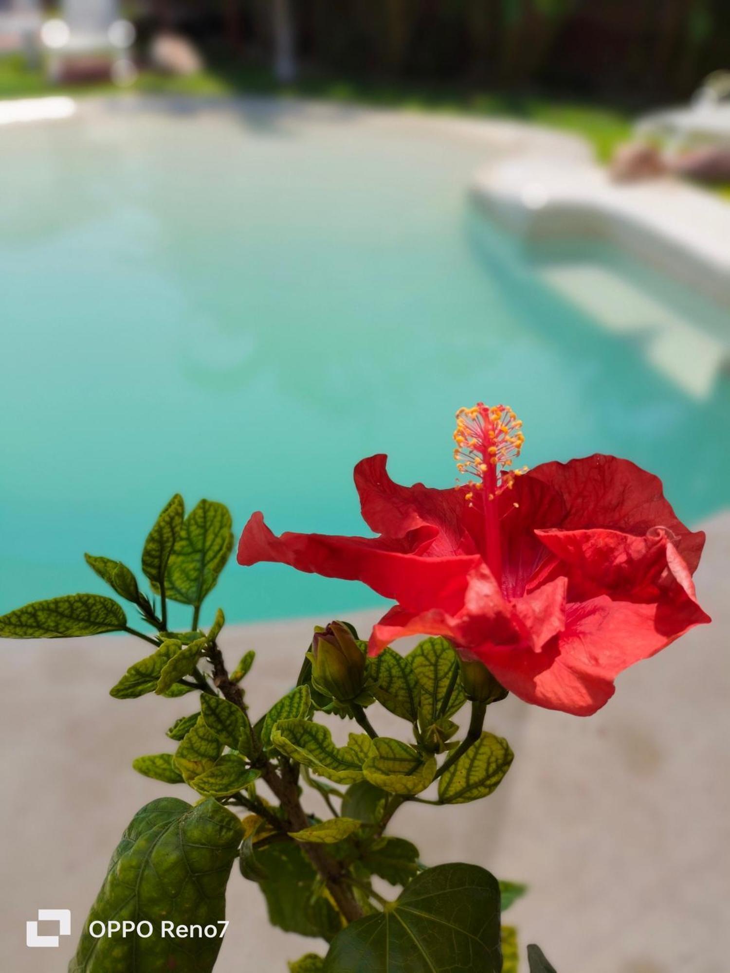 Teki-Sha Home&Suites Bacalar Εξωτερικό φωτογραφία